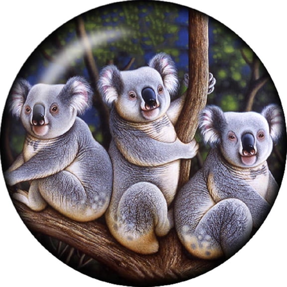 Snap button Kaola bears 18mm Cabochon