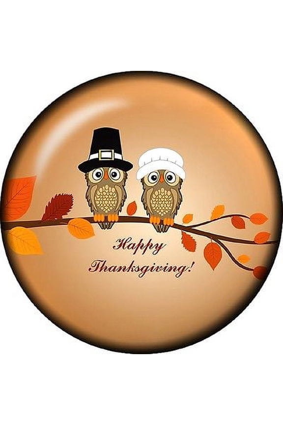 Snap button Owl Fall Happy Thanksgiving 18mm charm chunk