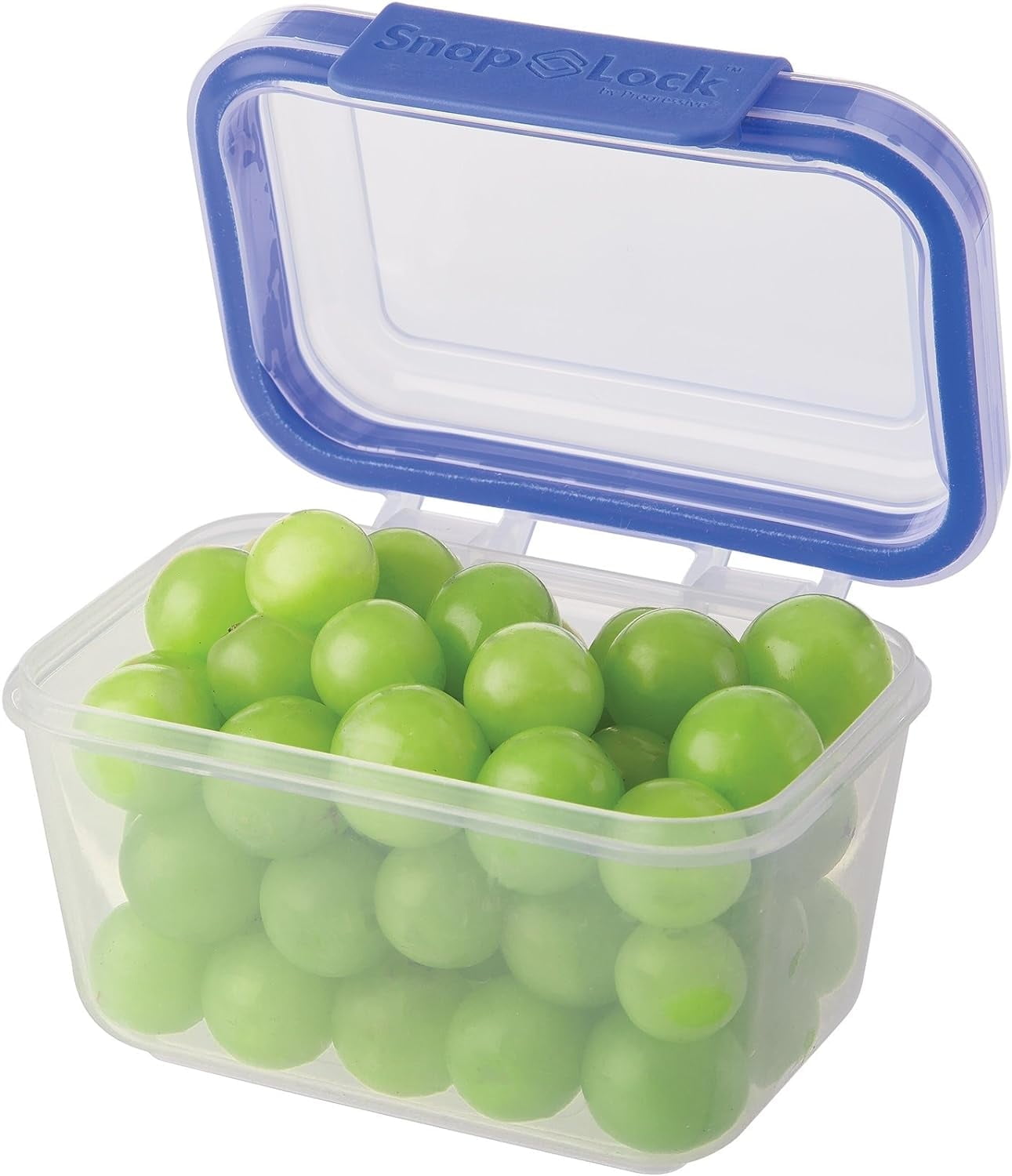 Blue 2-Cup BPA-Free Leak-Proof Food Storage Jar
