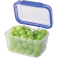 thumbnail image 1 of SnapLock by Progressive Blue Freezer Safe Food Storage Containers, 1 of 3