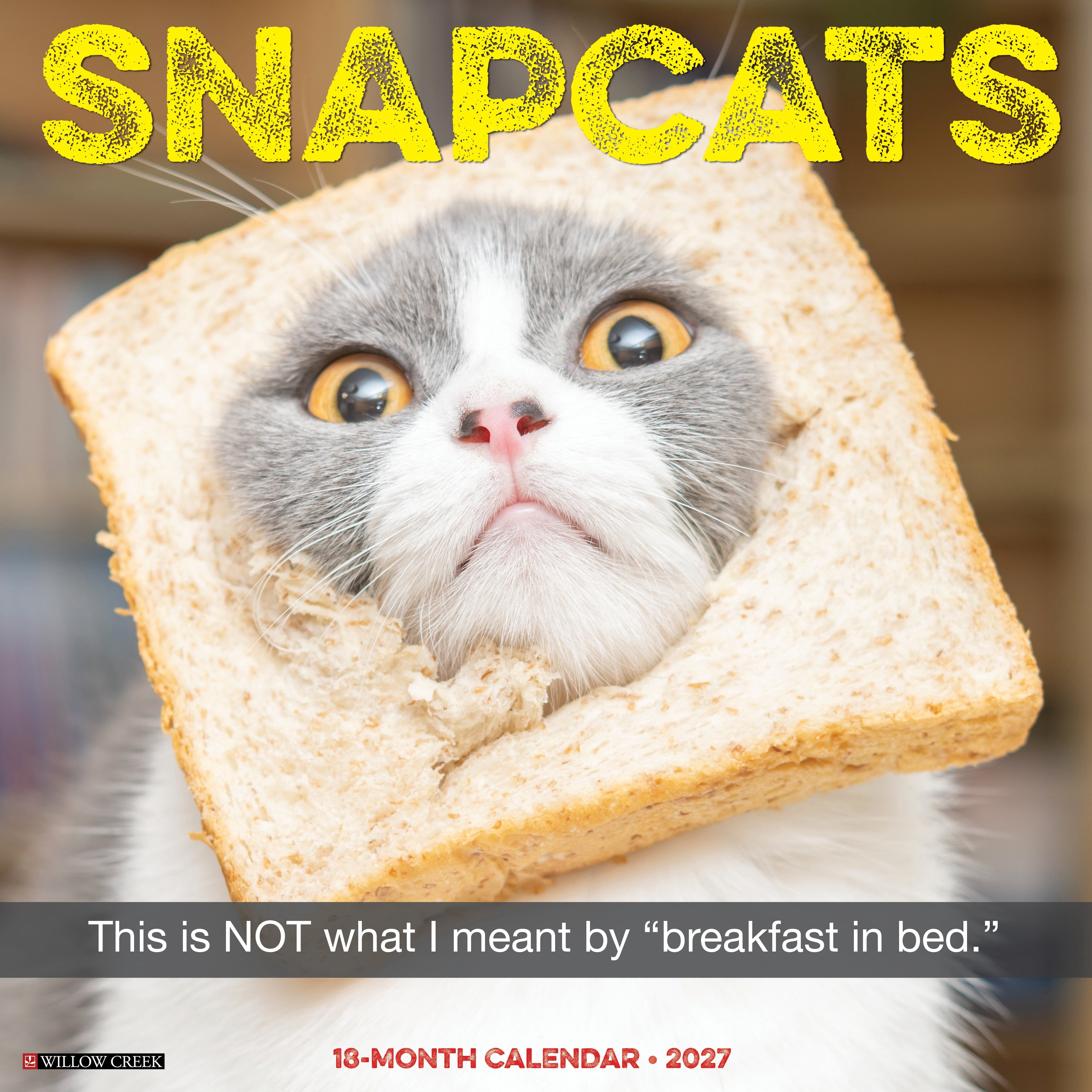 Willow Creek Press, Snapcats 2027 Wall Calendar