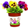 thumbnail image 1 of Snapins DIY Craft Flower Pots - Pack of 48 Planters, 1 of 6
