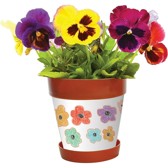 Snapins DIY Kids Craft Flower Pots - Pack of 12