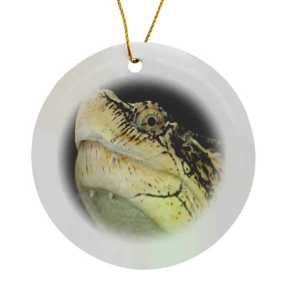 3drose, Snapping Turtle, Circle Porcelain Ornament