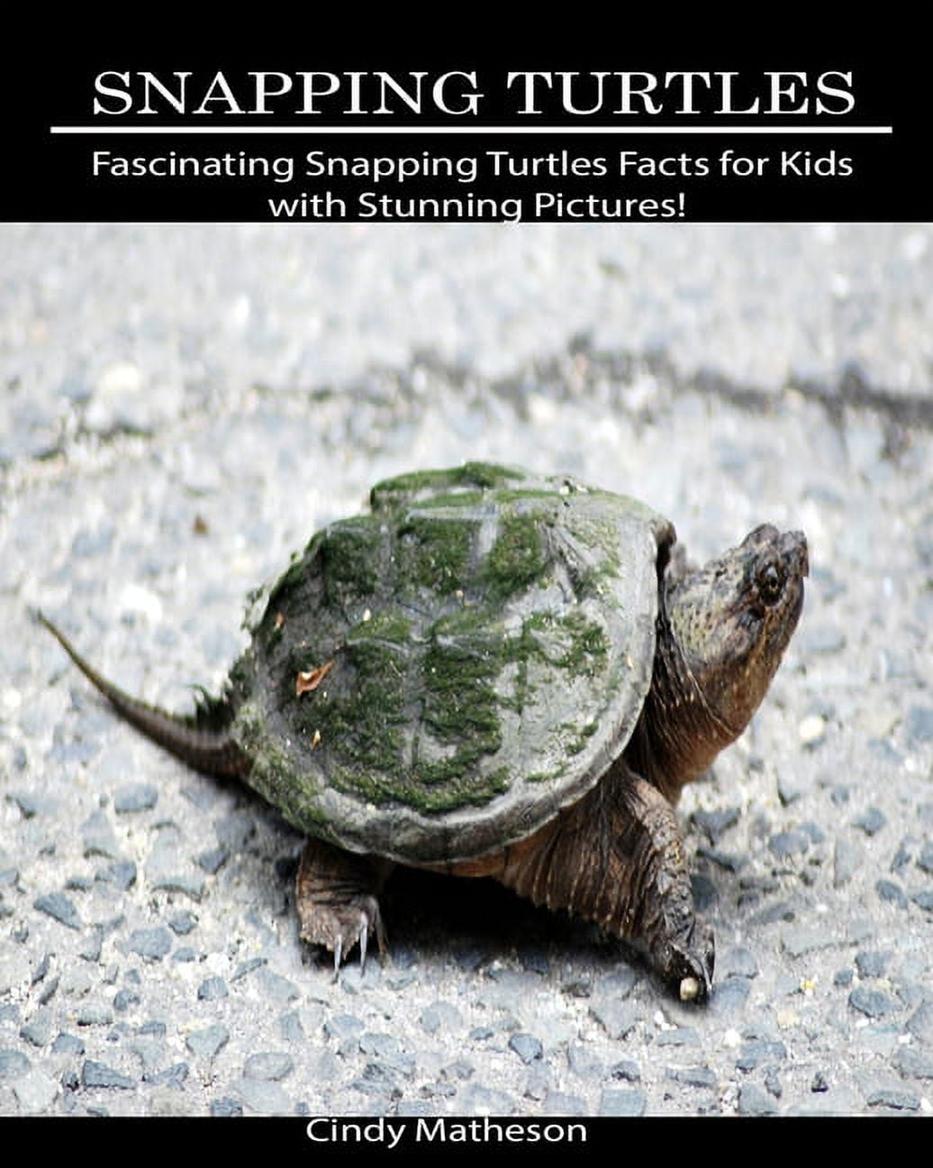 Snapping Turtles : Fascinating Snapping Turtles Facts for Kids with ...