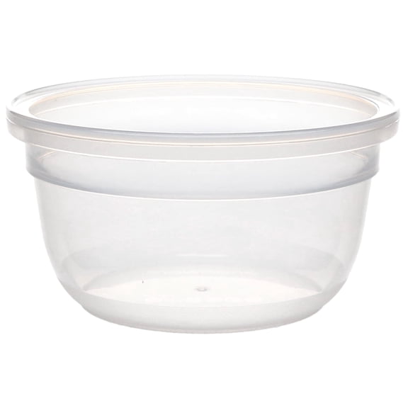 Snapware 1.2-Cup Total Solutions Plastic Food Storage Container (Lids Not Included)