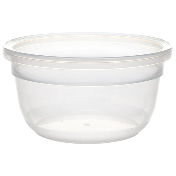 Snapware 7202R-PFS 1.2-Cup Total Solutions Plastic Food Storage Container