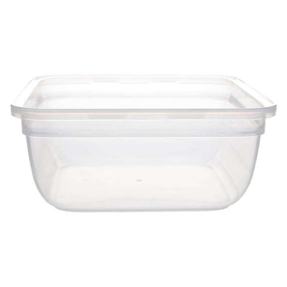 Snapware 8704-PFS 5.5-Cup Total Solutions Plastic Container - Made in USA - Lids Not Included