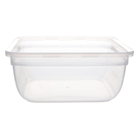 Snapware 8704-PFS 5.5-Cup Total Solutions Plastic Food Storage Container (Lid Not Included)