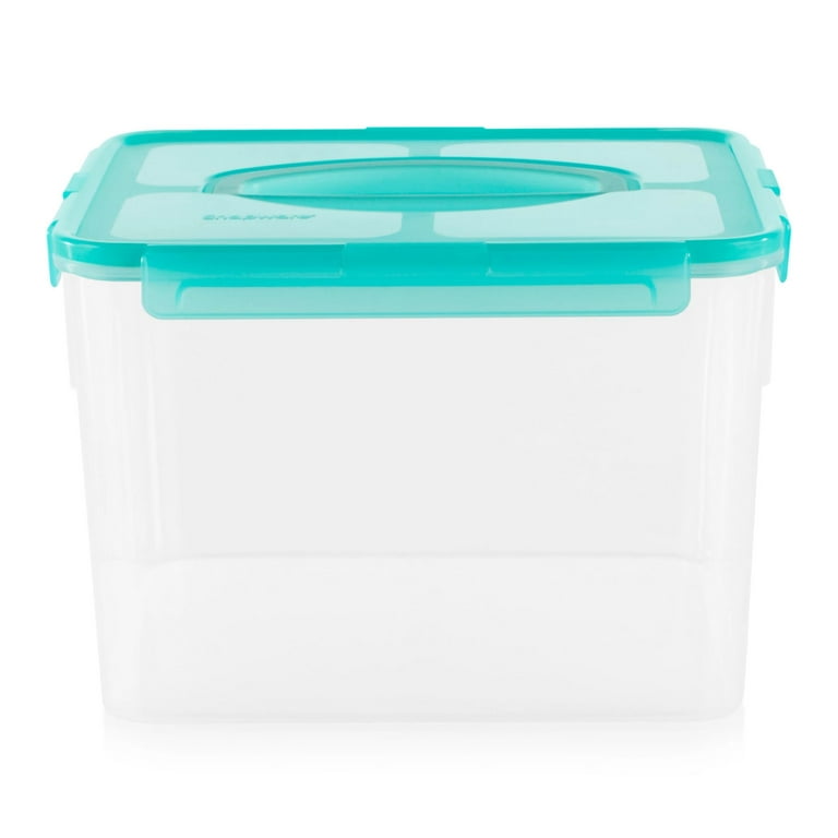 https://i5.walmartimages.com/seo/Snapware-Meal-Prep-29-cup-Bulk-Storage-Container-with-Lid_49187606-cbbe-4b28-bac3-fd10ff2c1b6f.a68db7cf153e701153518aaa27c0cbce.jpeg?odnHeight=768&odnWidth=768&odnBg=FFFFFF
