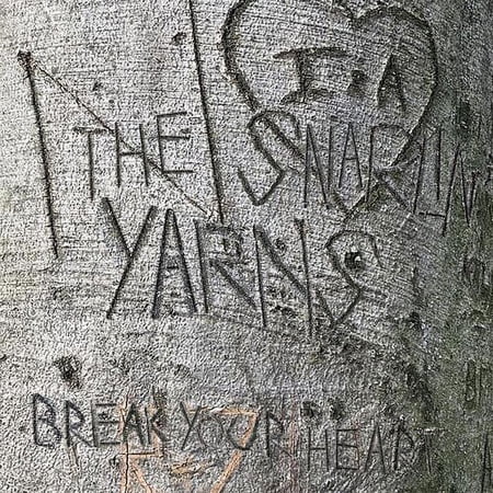 Snarlin' Yarns - Break Your Heart - Music & Performance - Vinyl