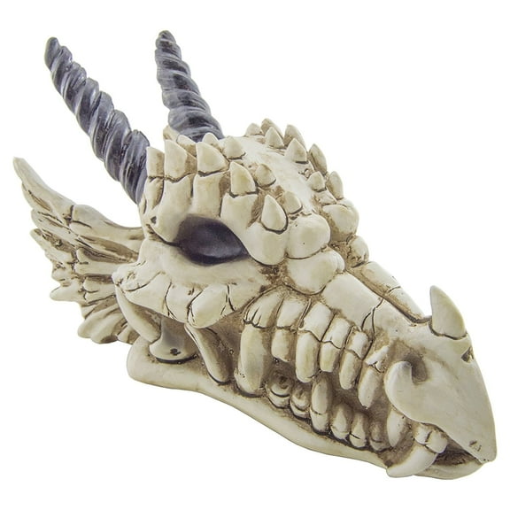 Snarling Magical Dragon Skull Coin Bank Stash Storage Box