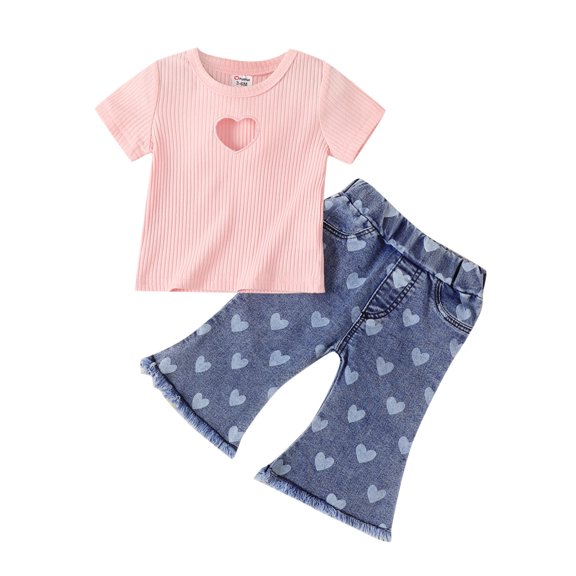 Sngxgn Baby Girl Outfit Long Sleeve Pullover Tops with Pants 2pcs Set Clothes(Pink,6M)