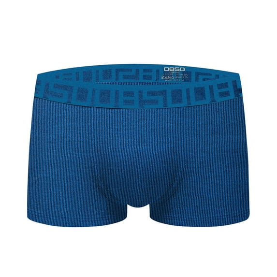 Sngxgn Boxer Briefs Mens Underwear Men Soft Underwear(Blue,L)