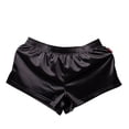 thumbnail image 1 of Sngxgn Men's Boxer Briefs Stretch Underwear Underpants Regular Leg(Black,XXL), 1 of 5
