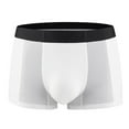 thumbnail image 1 of Sngxgn Men's Boxer Briefs Stretch Underwear Underpants Regular Leg(White,L), 1 of 2
