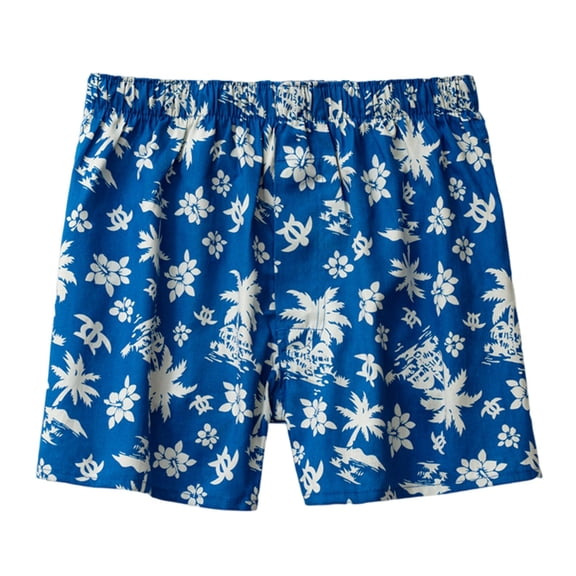 Sngxgn Men's Boxer Underwear Waistband(Blue,XXL)