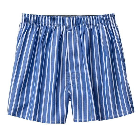Sngxgn Men's Breathable Boxer Briefs Underwear(Blue,XL)