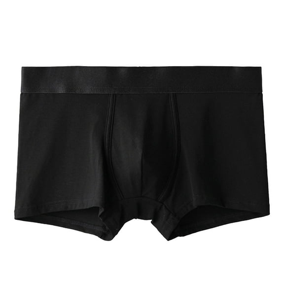 Sngxgn Men's Briefs, Soft & Breathable Underwear for Men(Black,L)