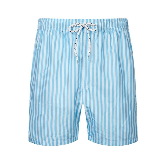 Sngxgn Men’s Shorts Casual Drawstring Summer Beach Shorts(Blue,L)