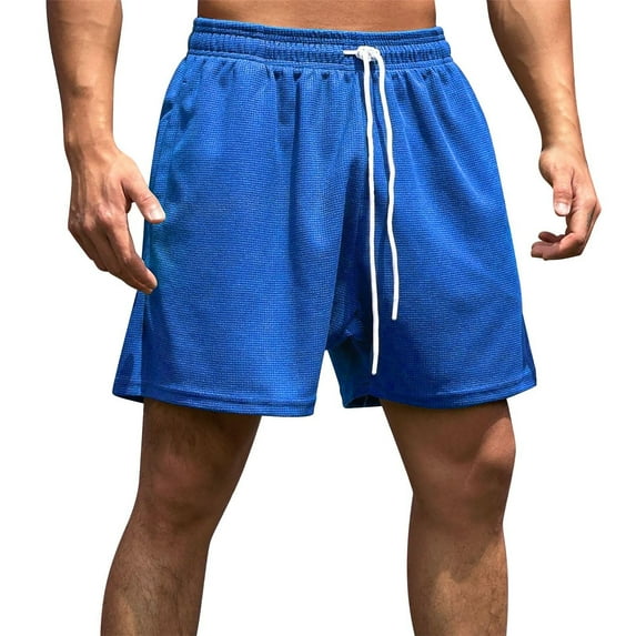 Sngxgn Men's Shorts Casual Elastic Waist Drawstring Casual Summer Beach Stretch Shorts(Blue,L)