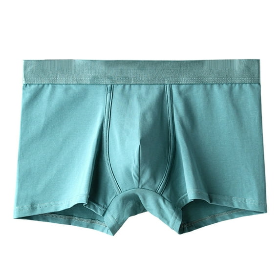Sngxgn Men's Shorts Workout Running Underwear(Mint Green,L)