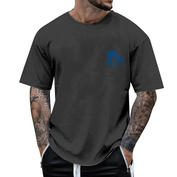 Sngxgn Men's T-Shirt Crewneck Short Sleeve for Man T Shirts(Grey,L)