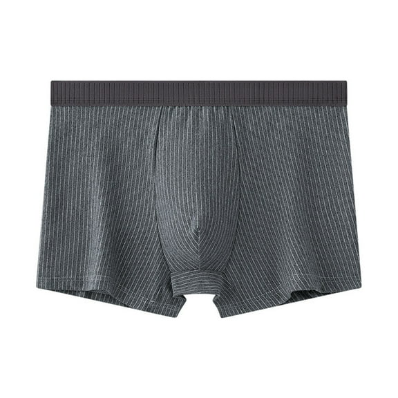 Sngxgn Men's Underwear Boxer Briefs Soft Breathable Underwear for Men(Dark Gray,XL)