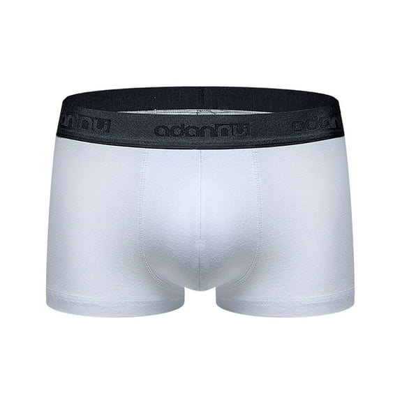 Sngxgn Men's Underwear Breathable Soft Boxer Briefs Stretch Trunks(White,L)