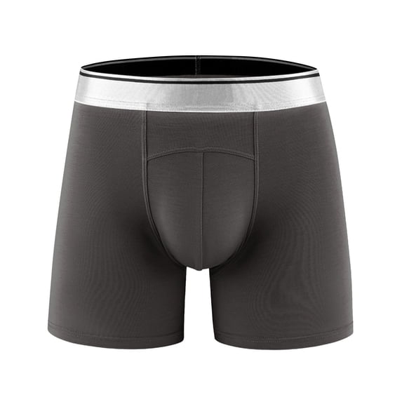 Sngxgn Mens Underwear Lightweight Boxer Briefs Underwear for Man Breathable Men's Trunks(Grey,L)