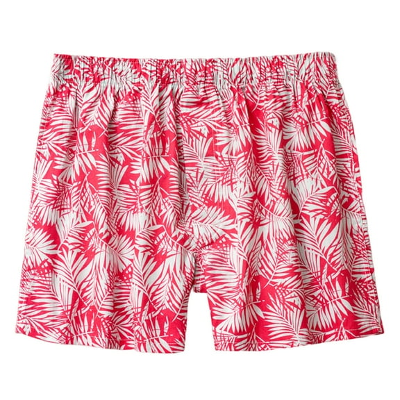 Sngxgn Stretch Mens Boxer Briefs Mens Underwear(Red,L)