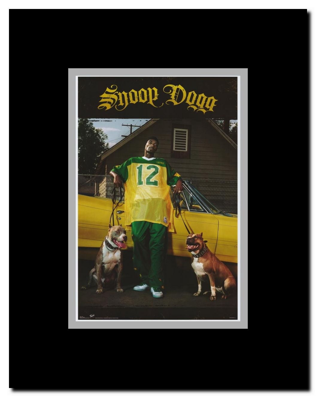 Snoop Dogg Framed Movie Poster