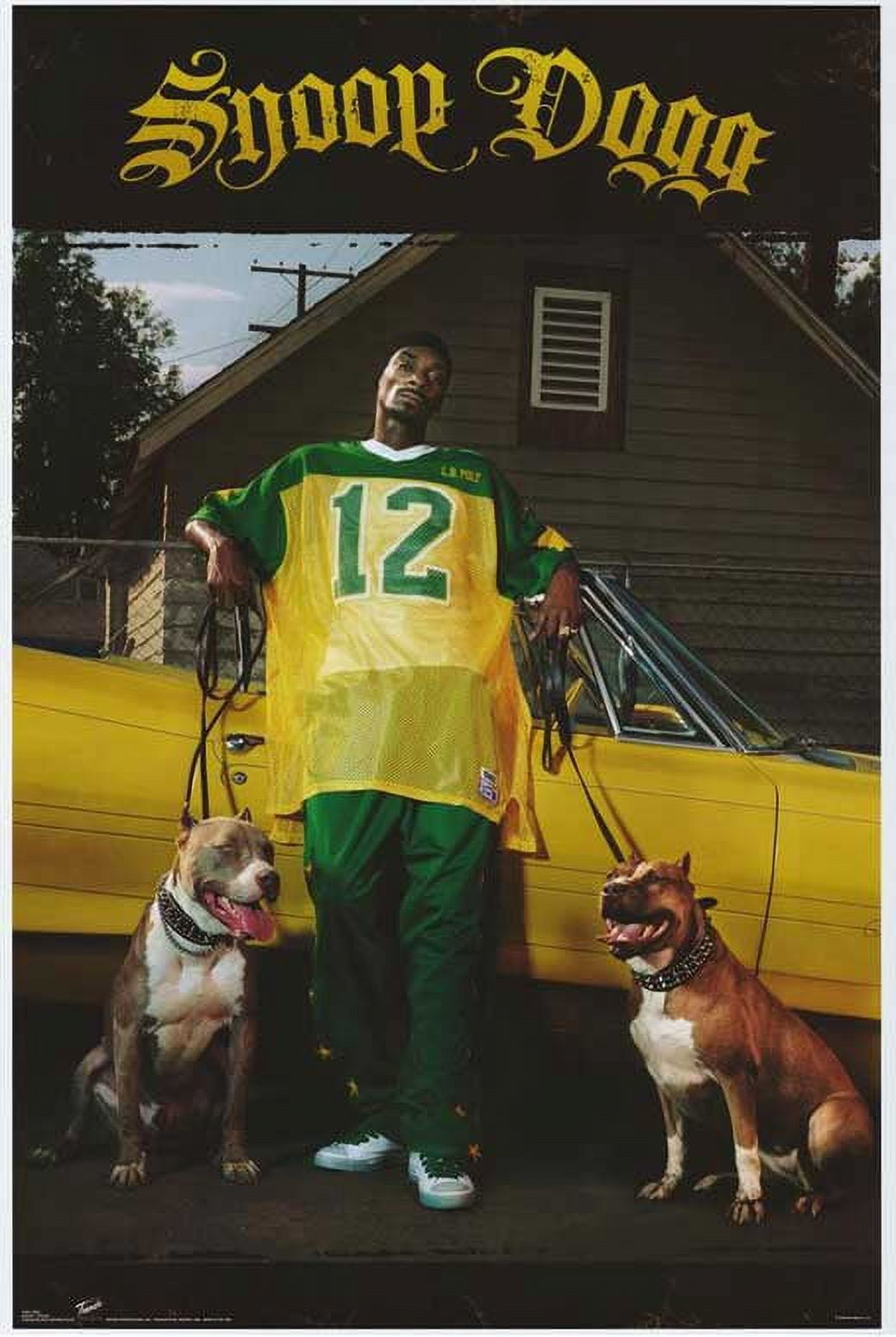 特大ポスター　正規品　100cm×65cm snoop dogg ポスター 特大ポスター 正規品 100cm×65cm snoop dogg ポスター - メルカリ