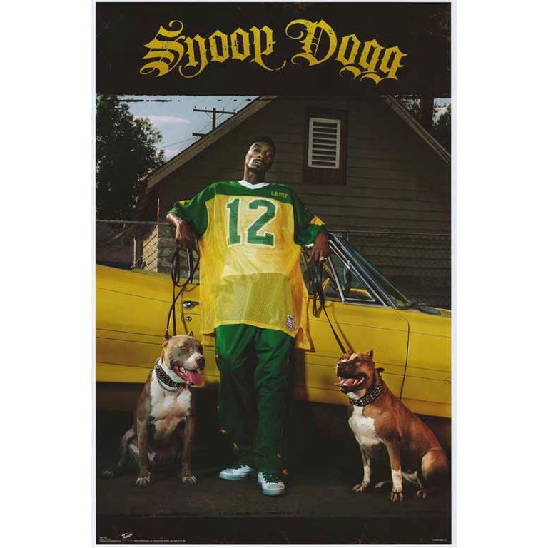 Snoop Dogg - movie POSTER (Style A) (27