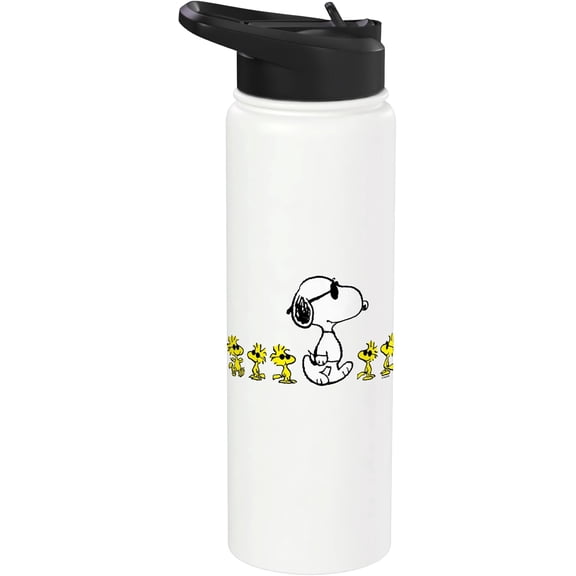 Snoopy and Woodstock Cool Crew Peanuts Design Stainless Steel Insulated Water Bottle