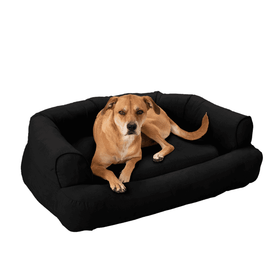 Snoozer Luxury Sleeper Sofa