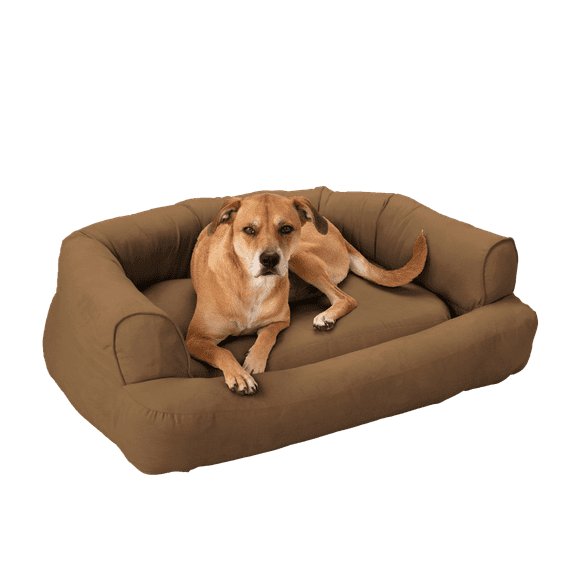 Snoozer Luxury Sleeper Sofa