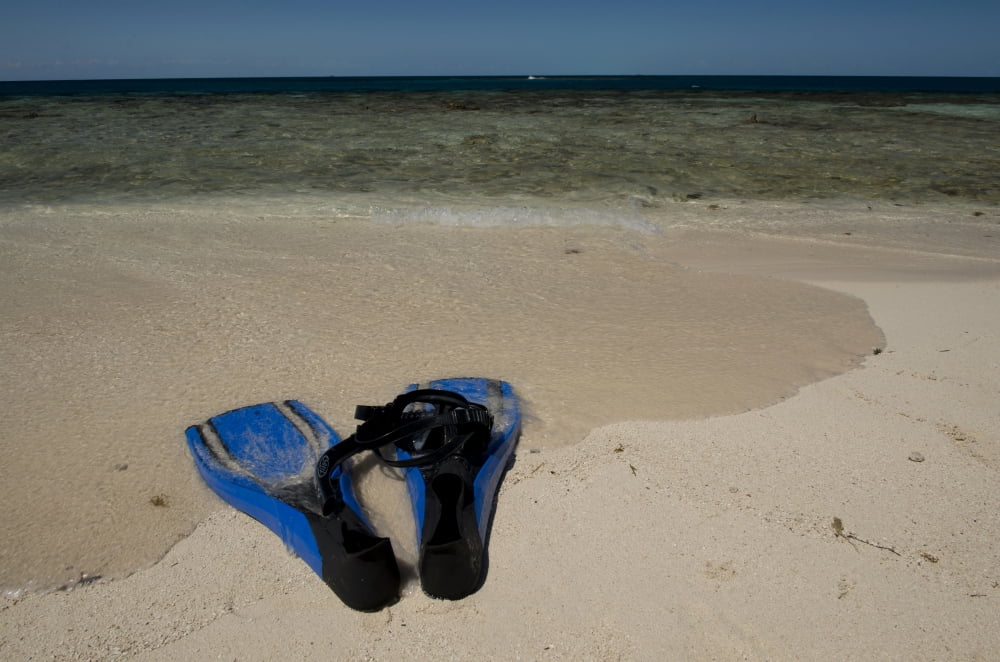 Snorkel set on the beach Caribbean Sea Belize Canvas Art - Panoramic Images (9 x 27)