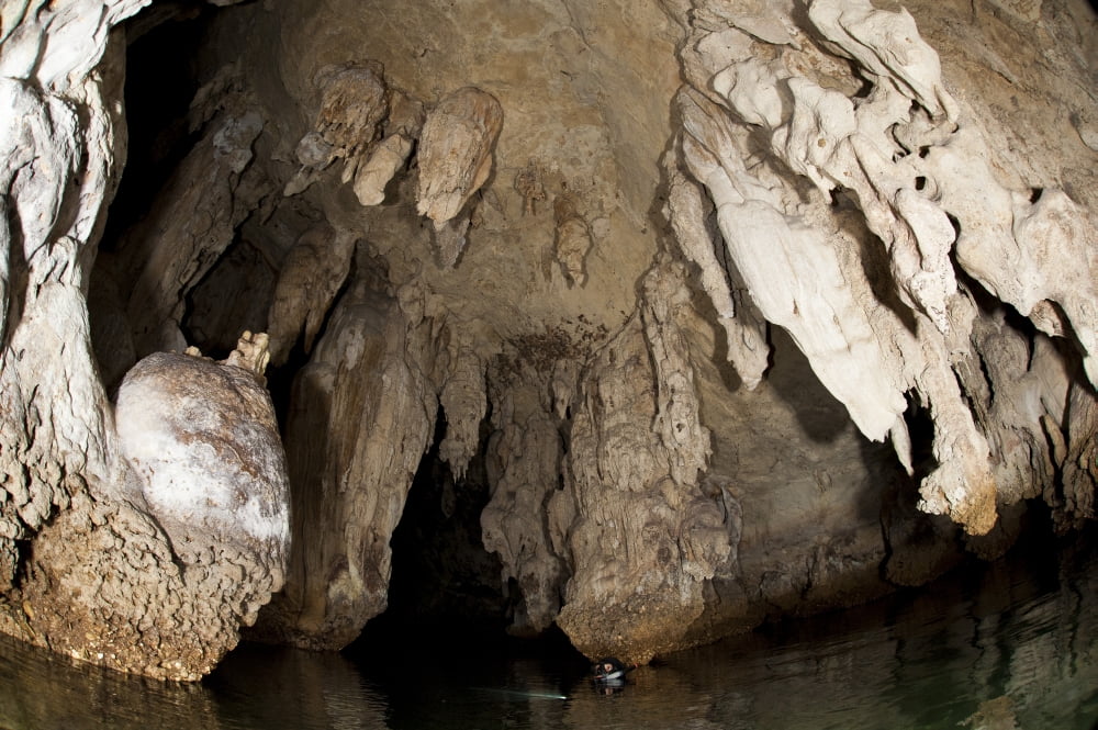 Snorkeler explores the spectacular Tomolol caves Raja Ampat Canvas Art - Steve JonesStocktrek Images (35 x 23)