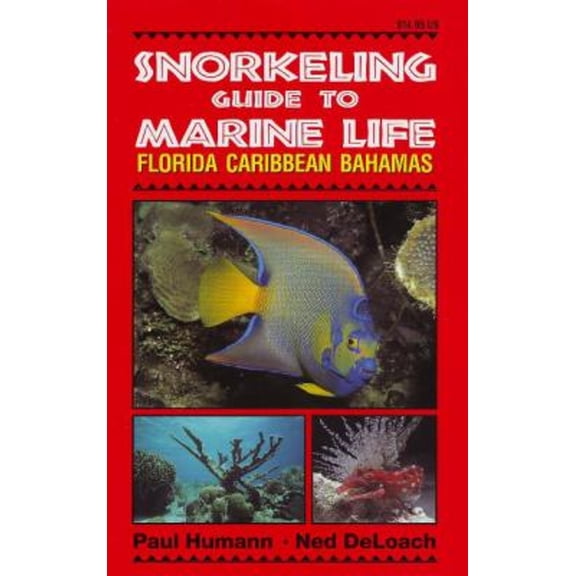 Pre-Owned Snorkeling Guide to Marine Life Florida, Caribbean, Bahamas (Paperback) 1878348108 9781878348104