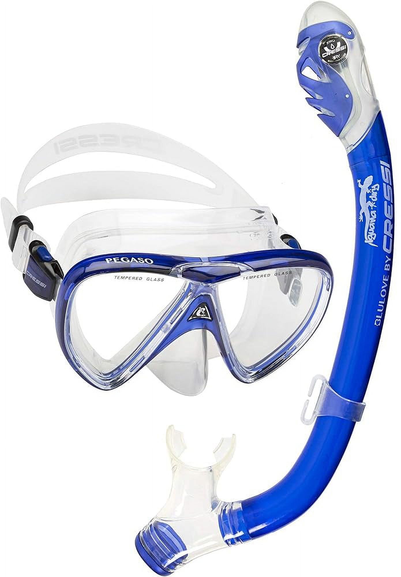 Snorkeling Set (Mask & Dry Snorkel) For Kids Aged 5 To 15 Year Old