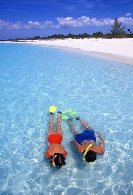 Snorkeling in the blue waters of the Bahamas Canvas Art - Greg Johnston DanitaDelimont (12 x 17)