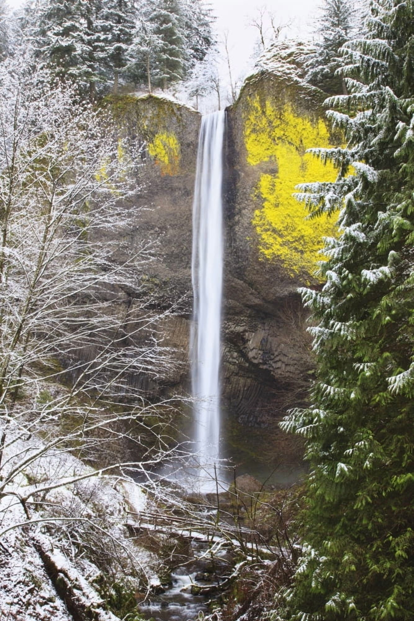 Snow Adds Beauty To Latourell Falls Columbia River Gorge National Scenic Area Oregon United States Of America Canvas Art - Craig Tuttle Design Pics (12 x 19)