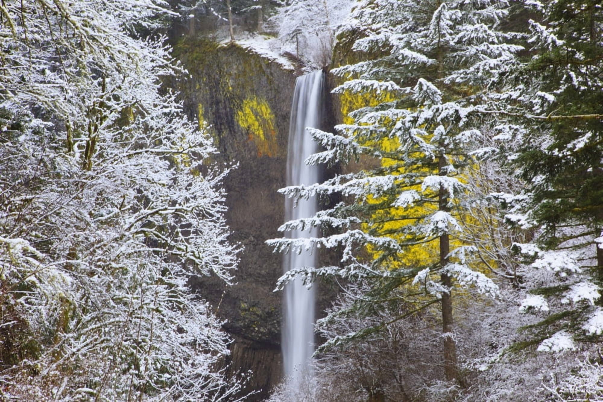 Snow Adds Beauty To Latourell Falls Columbia River Gorge National Scenic Area Oregon United States Of America Canvas Art - Craig Tuttle Design Pics (19 x 12)