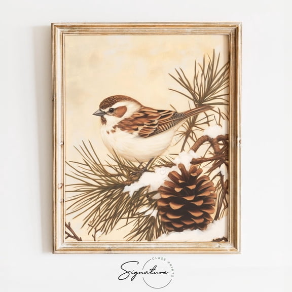 Snow Bunting Perched On Pinecone Branch, Winter Bird Poster, Winter Nature Wall Art, Rustic Decor 2548 Warm Present Vintage UNFRAMED Poster Size 8x12