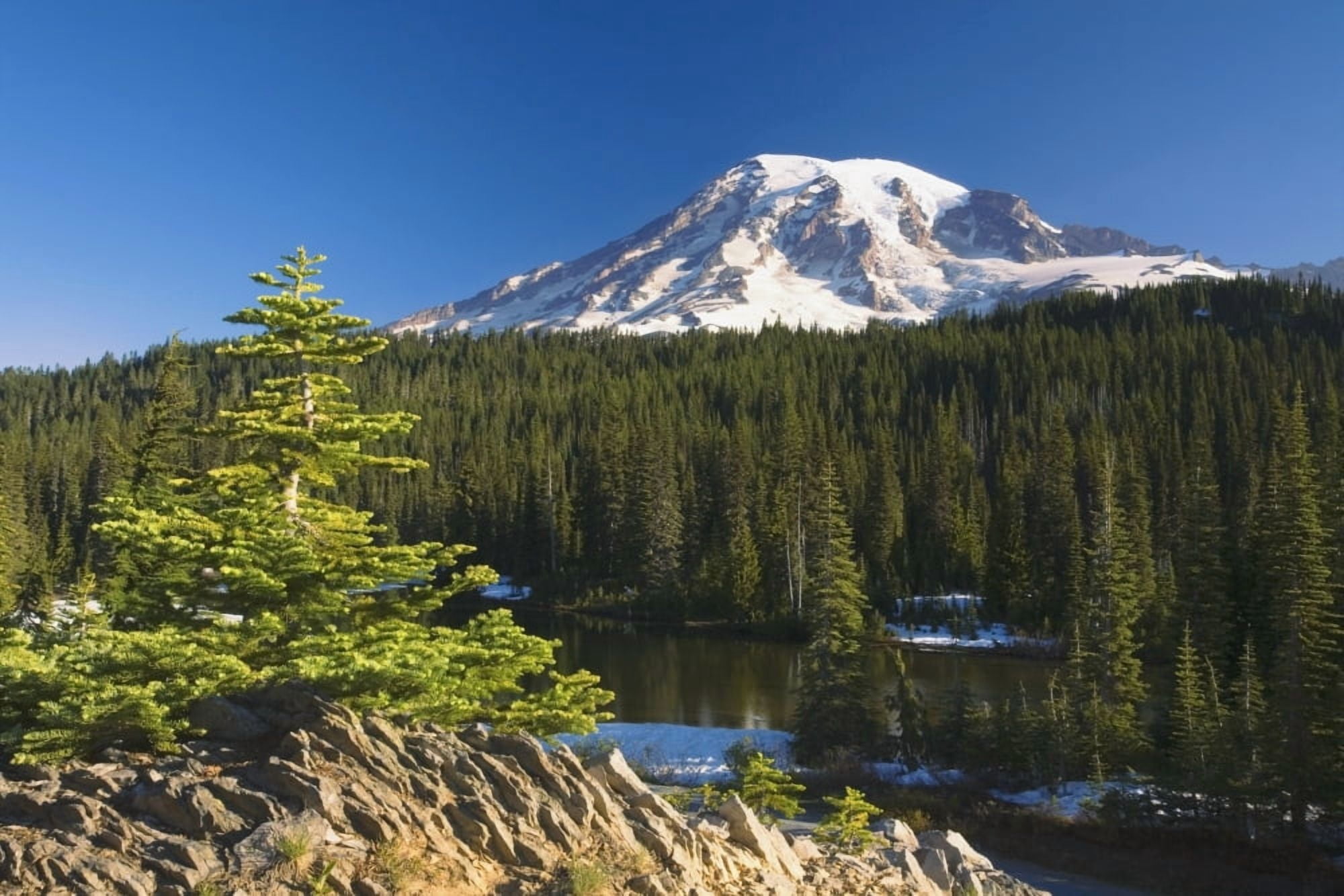 Snow-Capped Mountain WashingtonUsa Canvas Art - Craig Tuttle Design Pics (38 x 24)