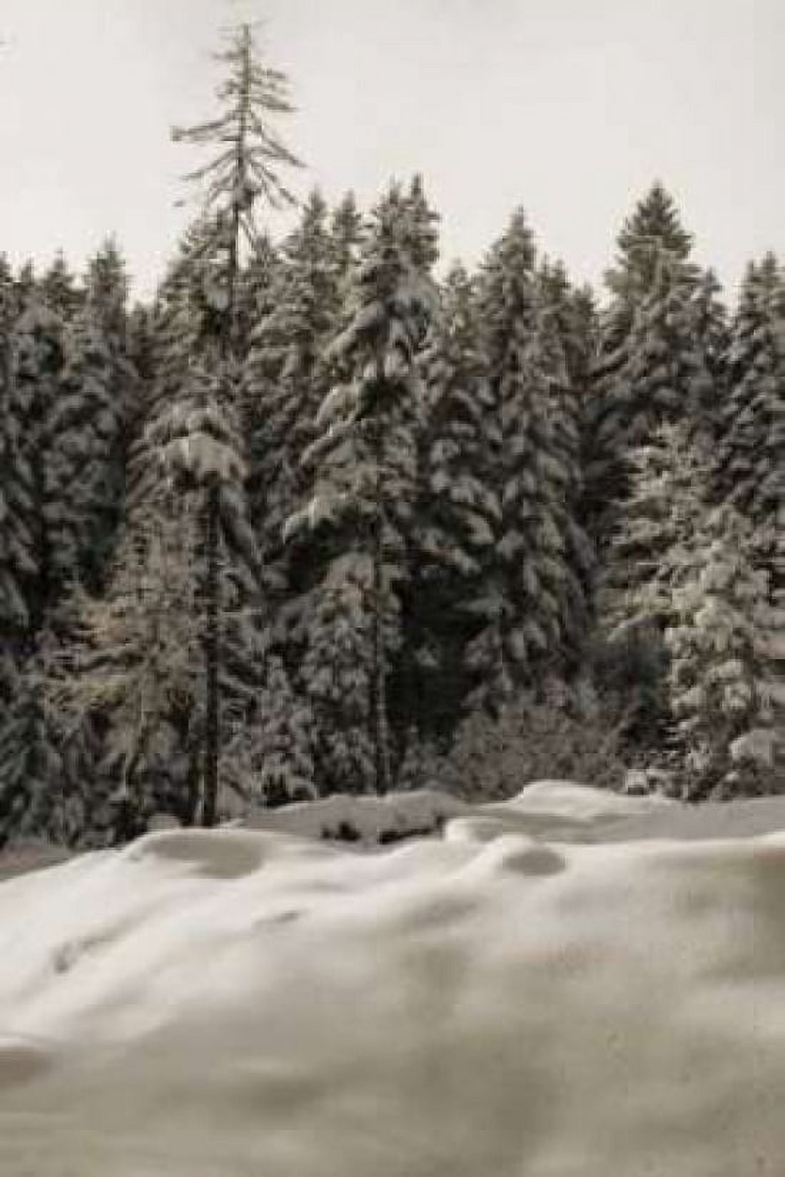 Snow Castle Canvas Art - Vitaly Geyman (24 x 36)