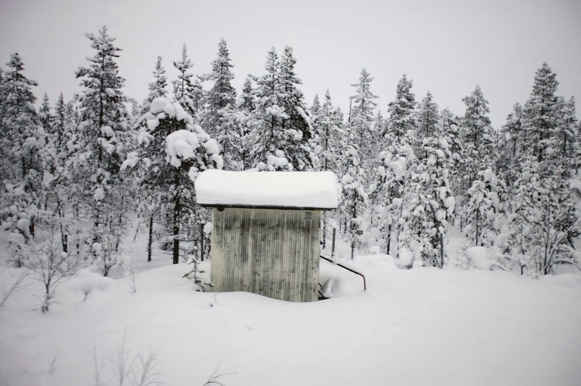 Snow Covered Cabin By Forest Canvas Art - Doug McKinlay Design Pics (38 x 24)