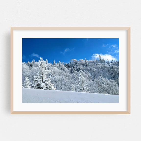 Snow-Covered Forest Under Blue Skies - Photography Winter Snow Nature Landscape Forest Scenic Wilderness Oak Framed Wall Art Print 5 x 7 inches