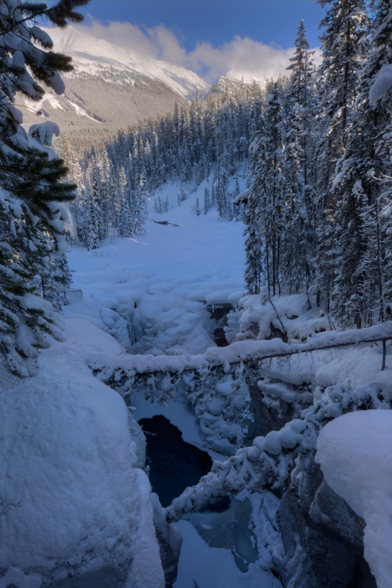 Snow-Covered Frozen Sunwapta Falls In Winter Jasper National Park Alberta Canvas Art - Dan Jurak Design Pics (11 x 17)